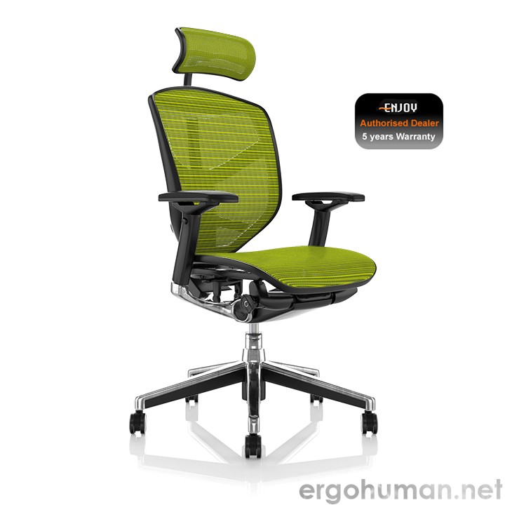 Enjoy Green Mesh Office Chair with Head Rest